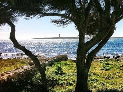 foto  Appartamenti Generici - Minorca (Minorca)  1