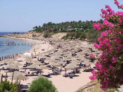 foto  Domina Coral Bay (Sharm El Sheikh)  3